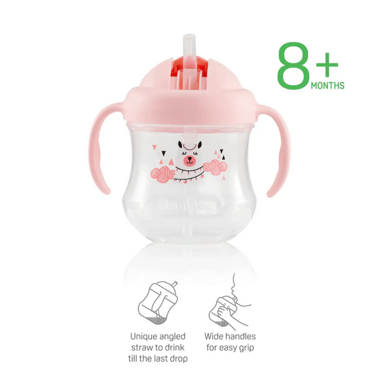 Pigeon MagMag Straw Cup 200ml (8m+)