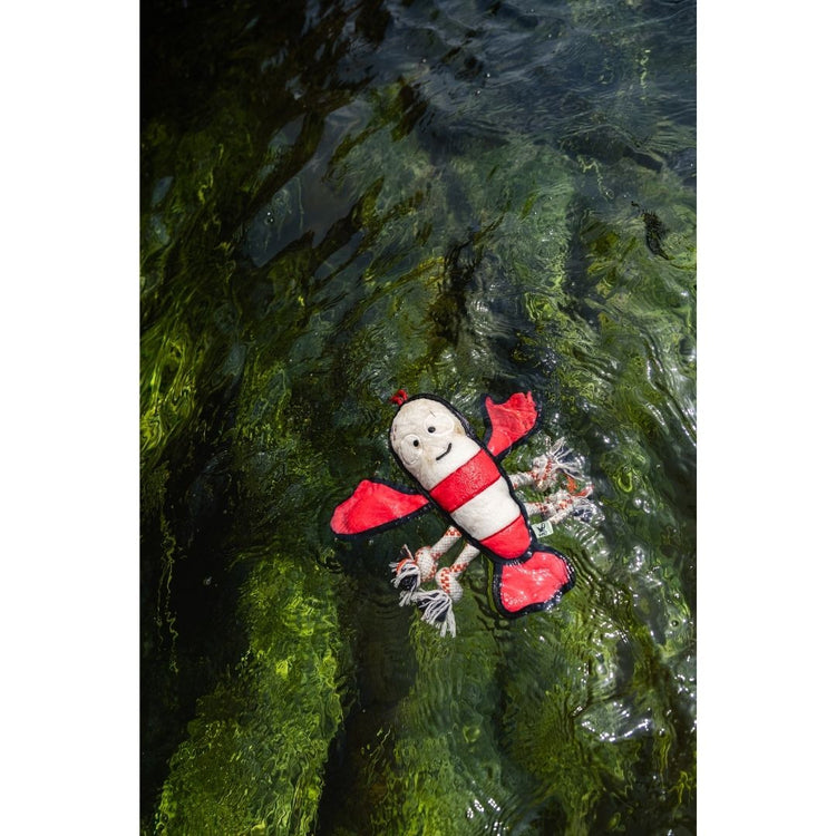 V-Pet Rough & Tough Toys - Wave Warriors - Lobster L