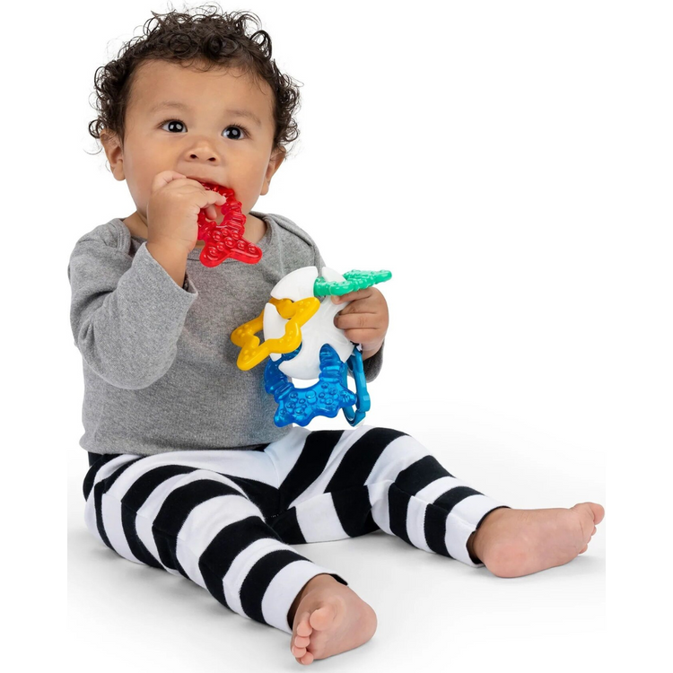 Baby Einstein Sea of Sensory Teether Toy (3m+)