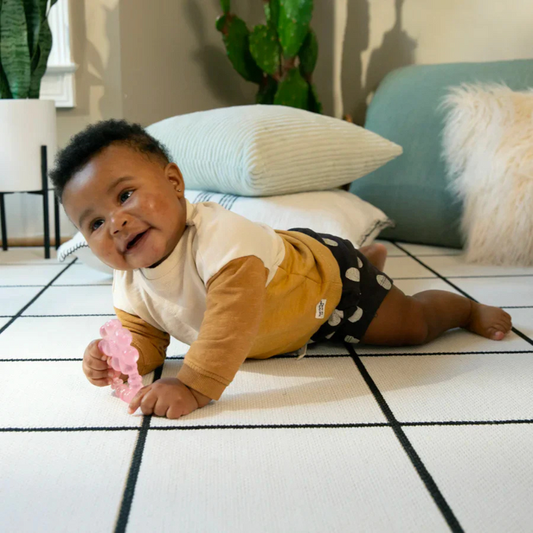 Ingenuity Cool Bite Water Teether Daisy (3m+)