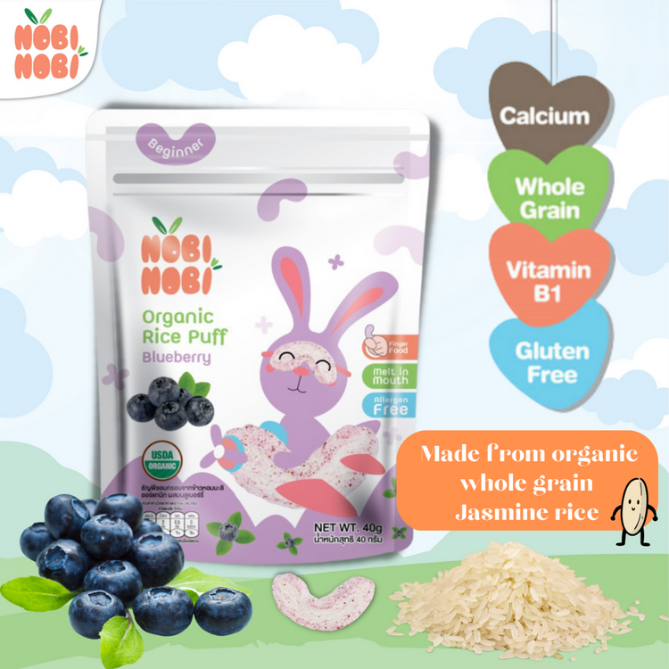 [HALAL] Nobi Nobi Organic Jasmine Rice Puffs (15G/40G)