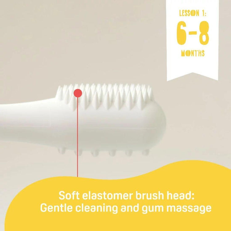 Pigeon Baby Training Toothbrush Lesson 1 (6m+)