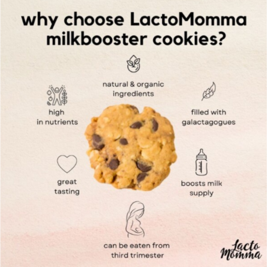 LactoMomma Milk Booster Cookies