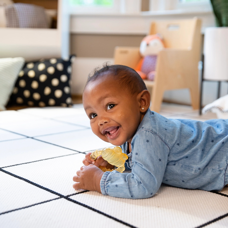 Ingenuity Cool Bite Water Teether Bomby (3m+)