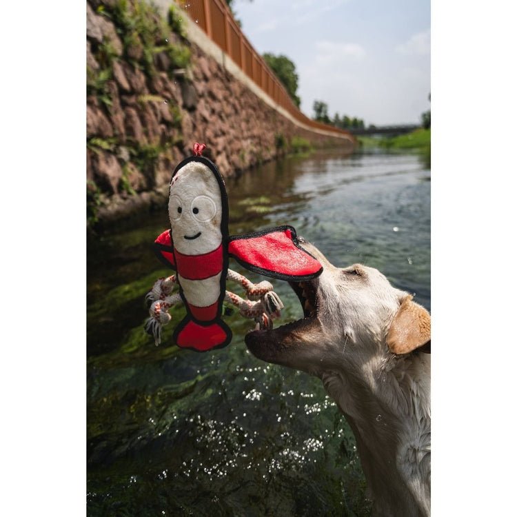V-Pet Rough & Tough Toys - Wave Warriors - Lobster L