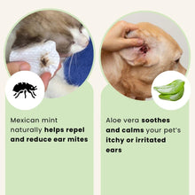 Translation missing: ms.sections.featured_product.gallery_thumbnail_alt
