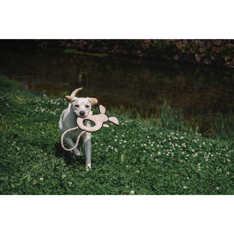 V-Pet Rough & Tough Toys - Welcome to the Farm - Rabbit