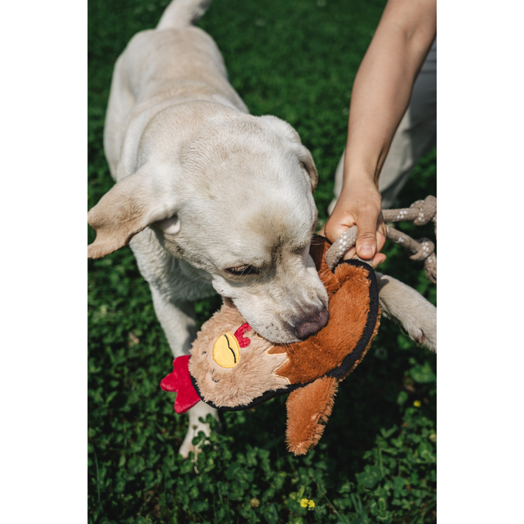 V-Pet Rough & Tough Toys - Welcome to the Farm - Hen L