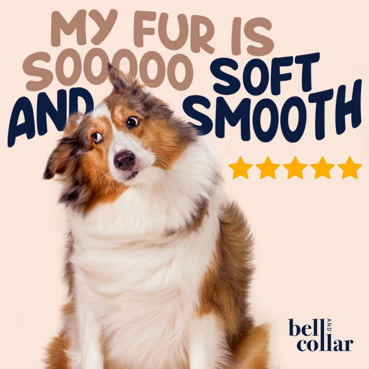 Bell & Collar Neem + Lemongrass natural pet shampoo 350ml : Anti-bacterial and soothes irritated skin.