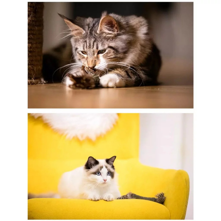 GiGwi Johnny Stick Catnip Natural Feather Cat Toy