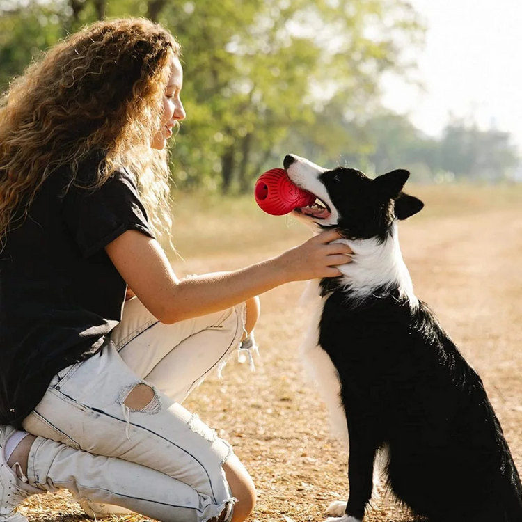 GiGwi Bulb Dog Treat Dispenser Toy