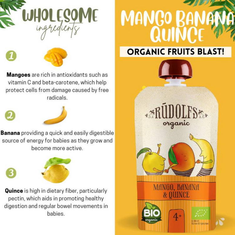 Rudolfs Organic Mango, Banana And Quince Puree 110g (6m+)