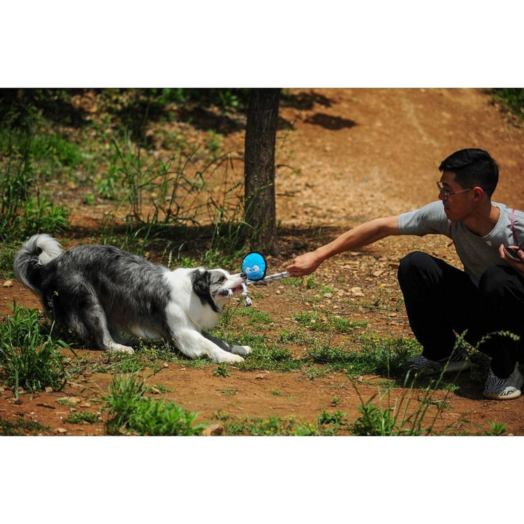 V-Pet Rough & Tough Toys - Wave Warriors - Octopus M