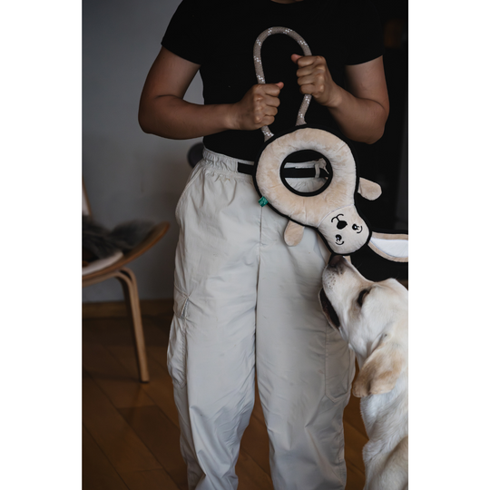 V-Pet Rough & Tough Toys - Welcome to the Farm - Rabbit