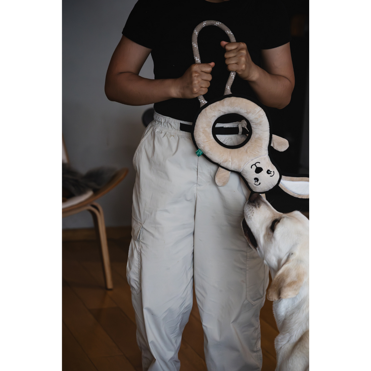 V-Pet Rough & Tough Toys - Welcome to the Farm - Rabbit