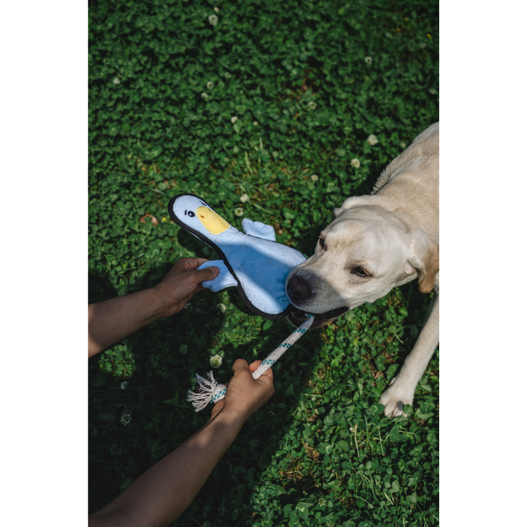 V-Pet Rough & Tough Toys - Welcome to the Farm - Duck L