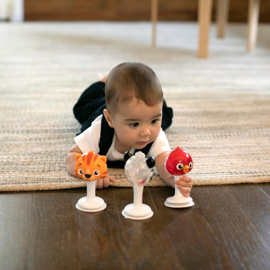 Baby Einstein Rattle & Jingle Trio Take-Along Toy Musical Rattle Set (6m+)
