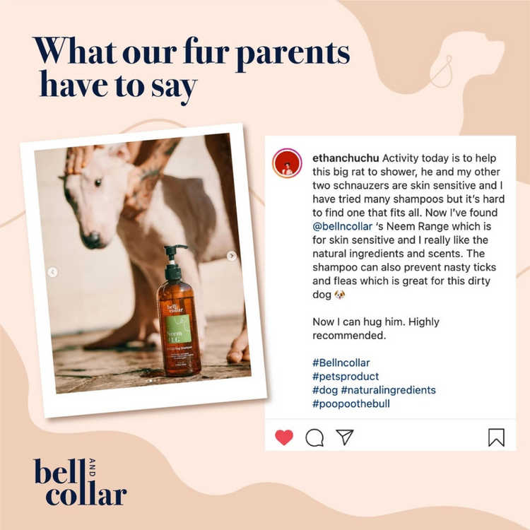 Bell & Collar Neem + Lemongrass natural pet shampoo 350ml : Anti-bacterial and soothes irritated skin.