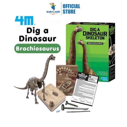4M KidzLabs - Dig a Brachiosaurus Skeleton (5Y+)