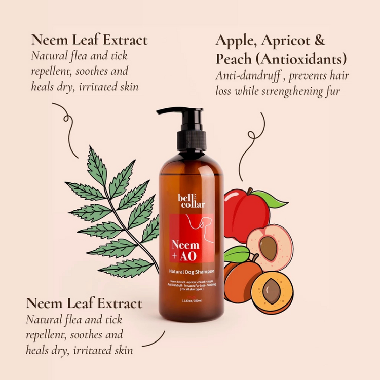 Bell & Collar Neem + Anti-Oxidants Natural Flea & Tick Shampoo for pets 350ml (for skin problems, suitable for daily use)