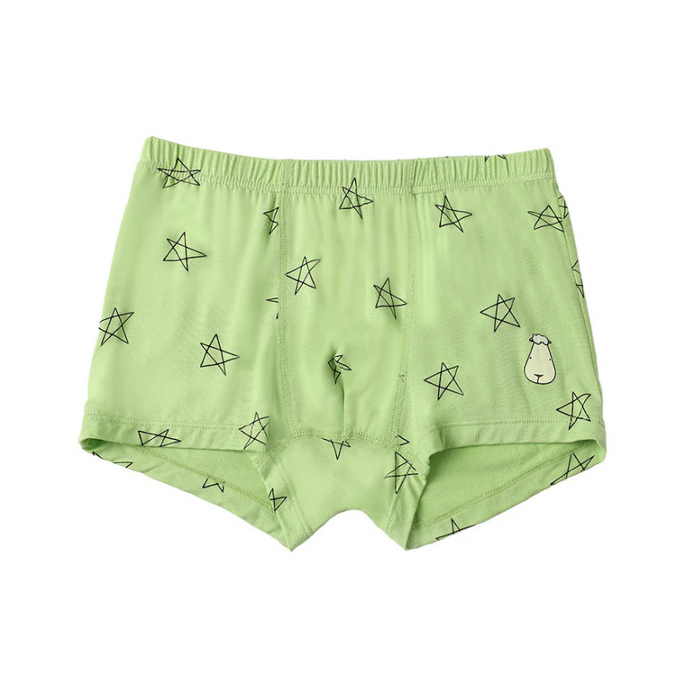 Baa Baa Sheepz Boys Boxer C011-B (3pcs) ( 3-4 years )