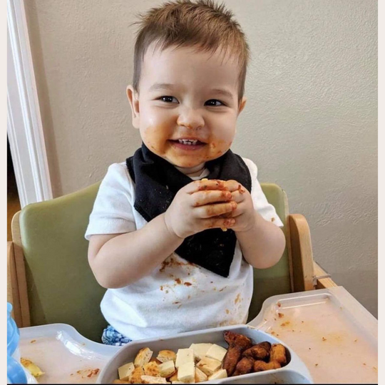 Abiie Octopod Silicone Suction Triangle Plate With Lids