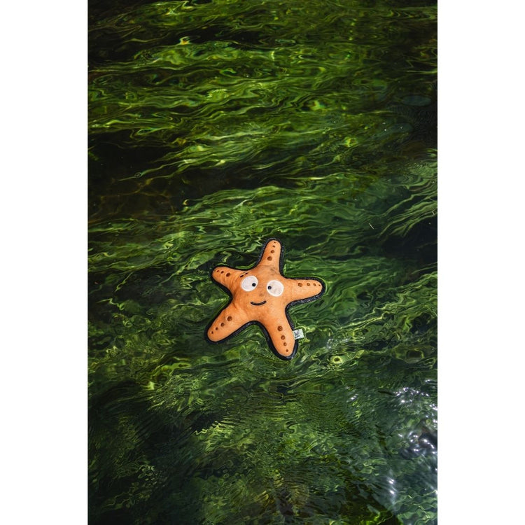 V-Pet Rough & Tough Toys - Wave Warriors - Starfish M