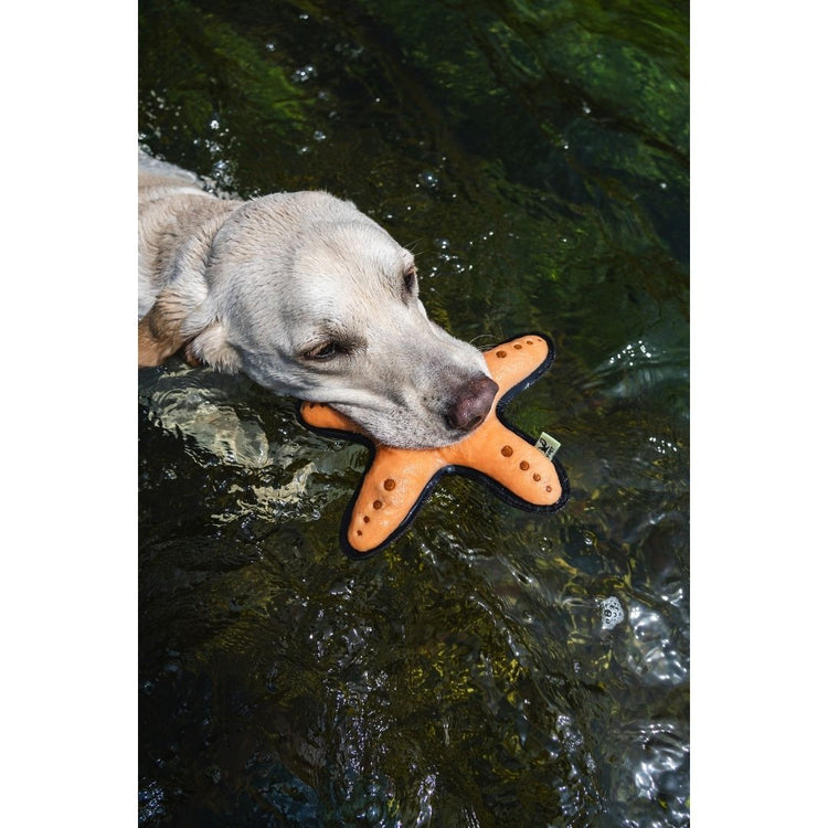 V-Pet Rough & Tough Toys - Wave Warriors - Starfish M