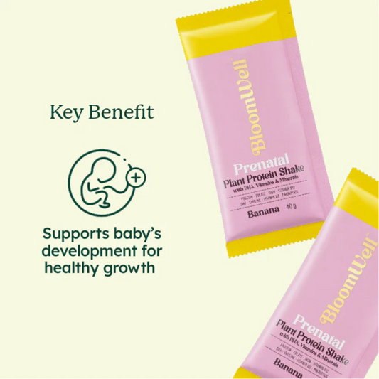 BloomWell Prenatal Plant Protein Shake with DHA, Vitamins & Minerals