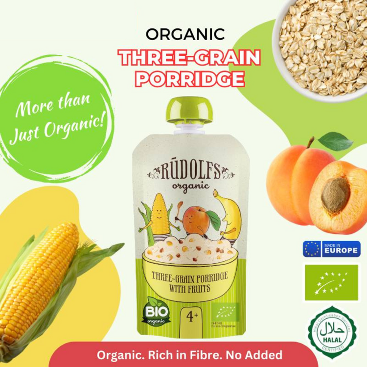 Rudolfs Organic 3 Grain Porridge With Fruits 110g (6m+)