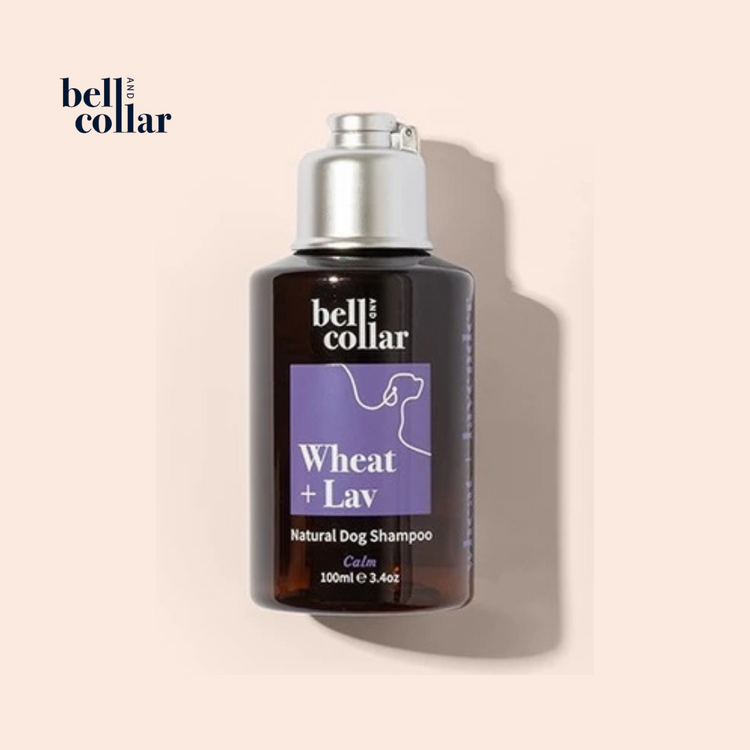 Bell & Collar Furtastic Natural Pet Shampoo 100ml