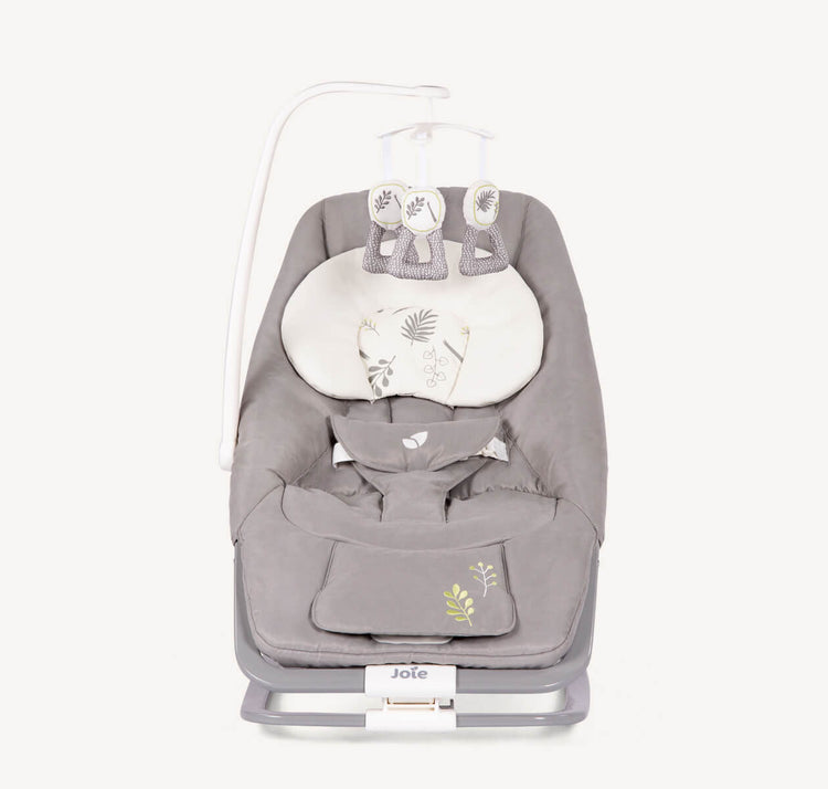 Joie Meet Dreamer Rocker & Bouncer - Fern [Newborn to 9kg]