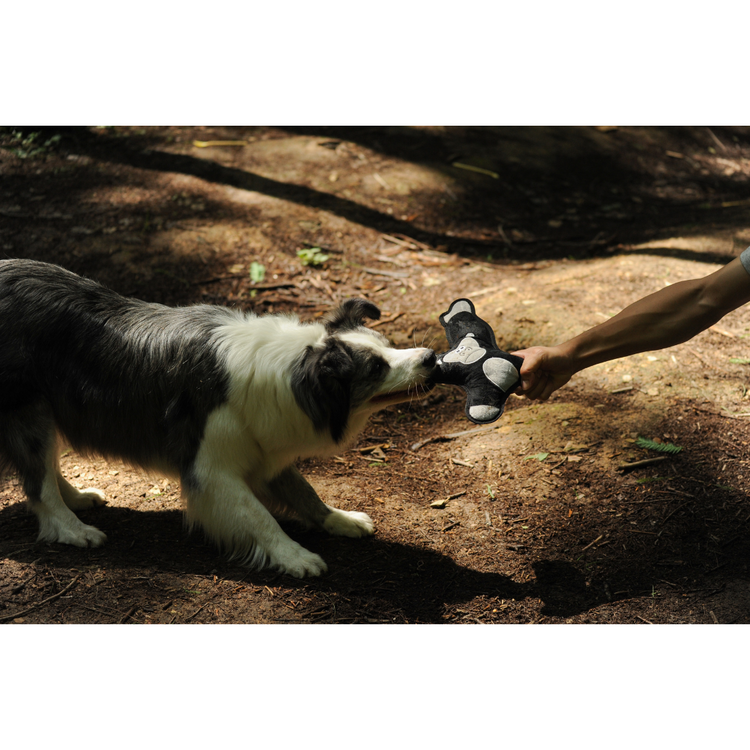 V-Pet Rough & Tough Toys - Welcome to the Jungle - Orangutan M