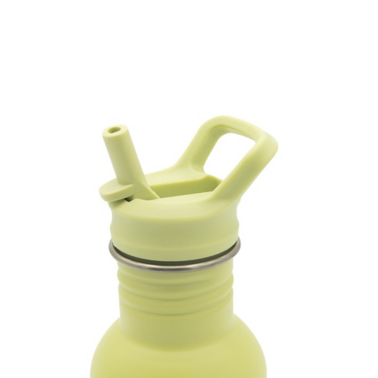 Sassi Stainless Steel Bottle 500ml - Panda