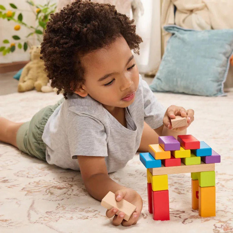 Hape 0533 Grow With Me Blocks (12m+)