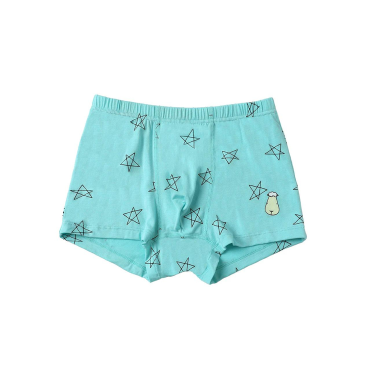 Baa Baa Sheepz Boys Boxer C009-M 3 Pcs - 6T