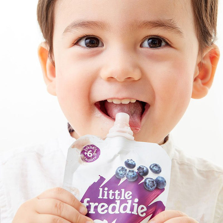 Little Freddie Organic Fruits Pouches (6m+) (90g-100g) - Puree