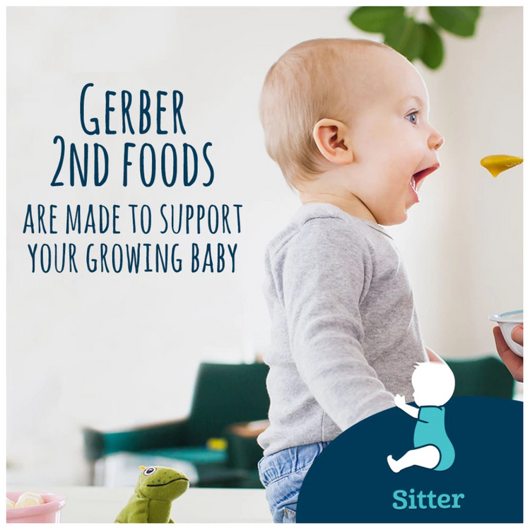 Gerber Baby Food Cereal 227g - Single Grain/Multigrain/Oatmeal/ Whole Wheat/ Probiotic