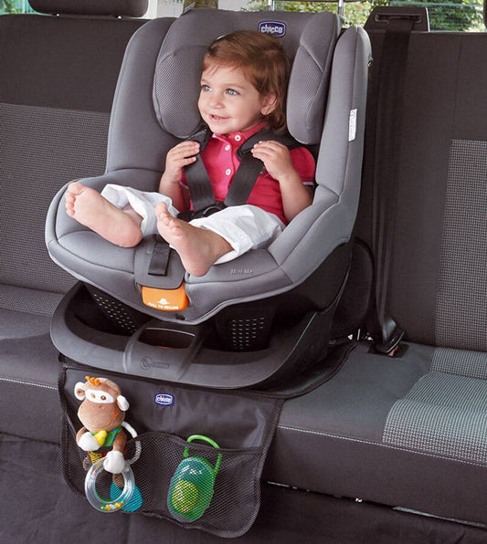 Chicco Deluxe Protection For Car Seat