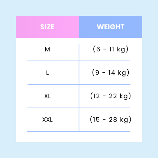 Merries Super Premium Pants Diapers