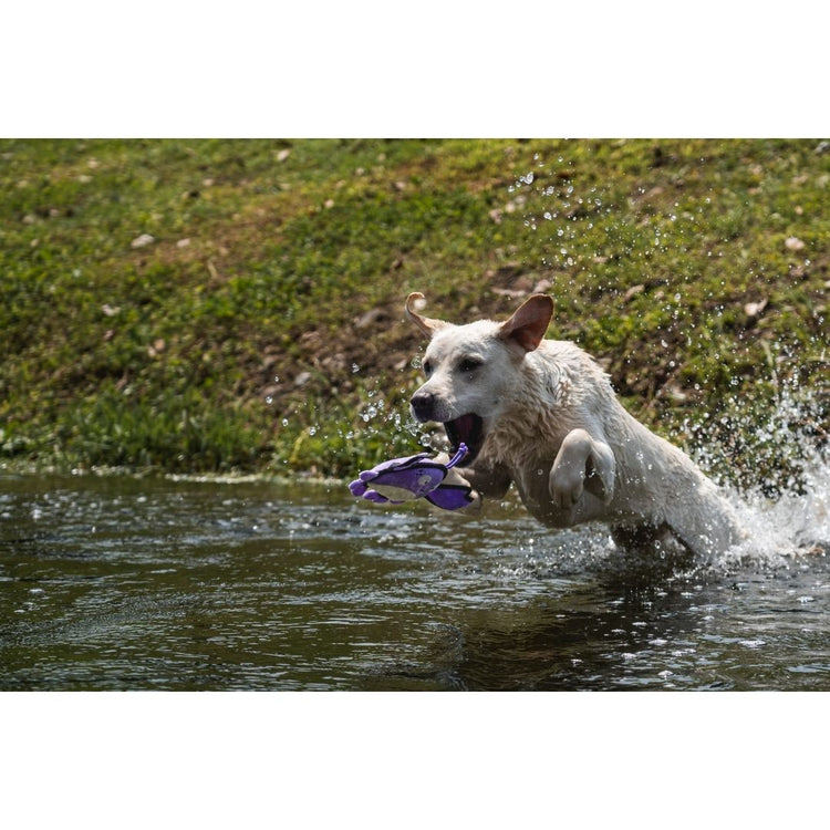 V-Pet Rough & Tough Toys - Wave Warriors - Crab M