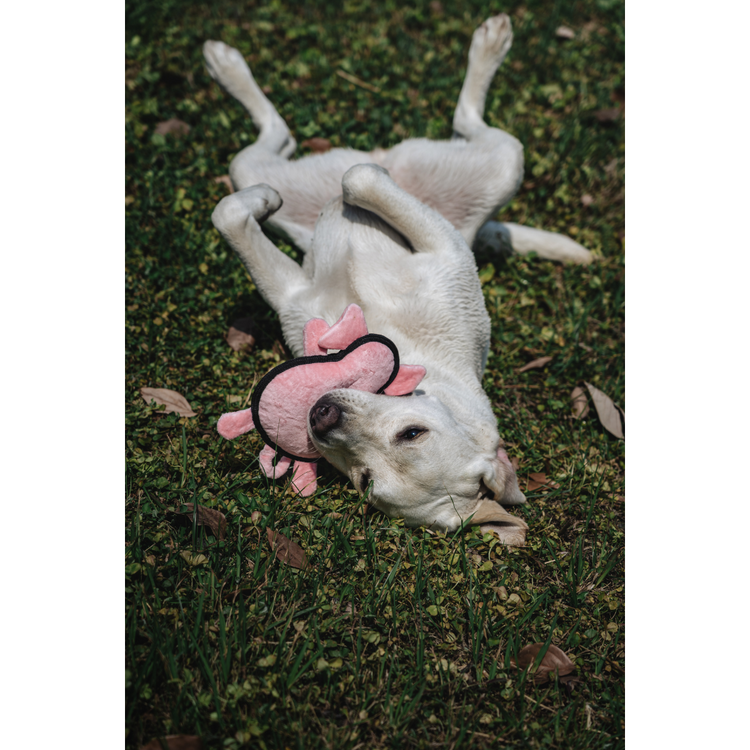 V-Pet Rough & Tough Toys - Welcome to the Farm - Pig M