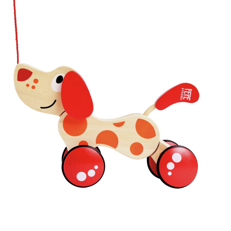 Hape 0347 Walk-A-Long Puppy From 12 months