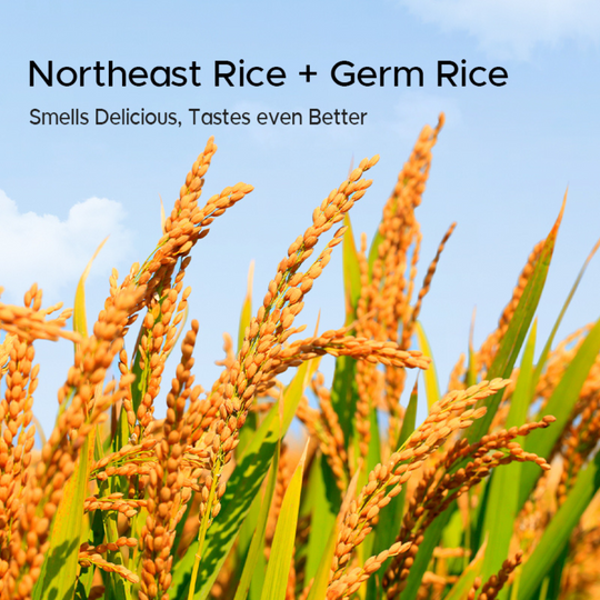 Babyyum Rice Cracker Seaweed Flavor 30g