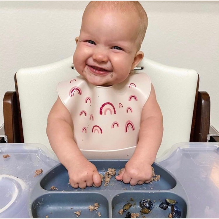 Abiie Octopod Silicone Suction Triangle Plate No Lid