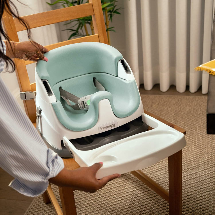 Ingenuity Baby Base 2-In-1 Seat (6m+)