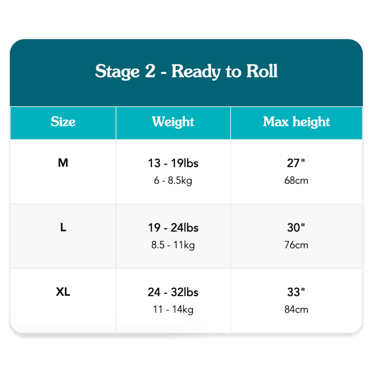 Love To Dream Stage2 Swaddle Up Transition Bag Bamboo 0.2 TOG - Little Dreamer Light Blue