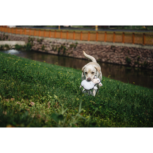 V-Pet Rough & Tough Toys - Welcome to the Farm - Sheep L