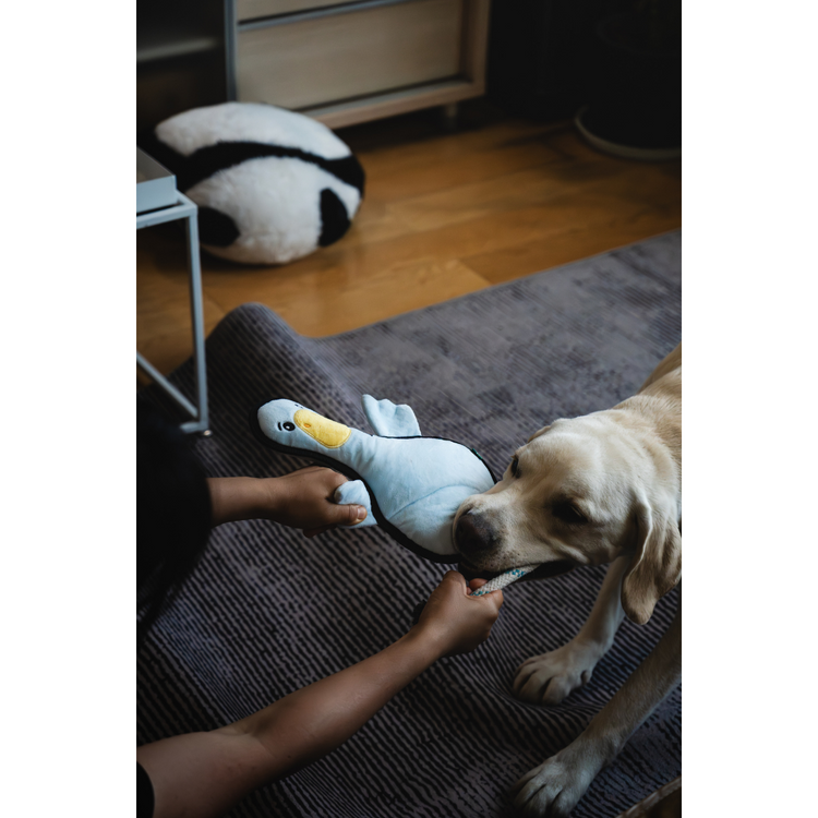 V-Pet Rough & Tough Toys - Welcome to the Farm - Duck L