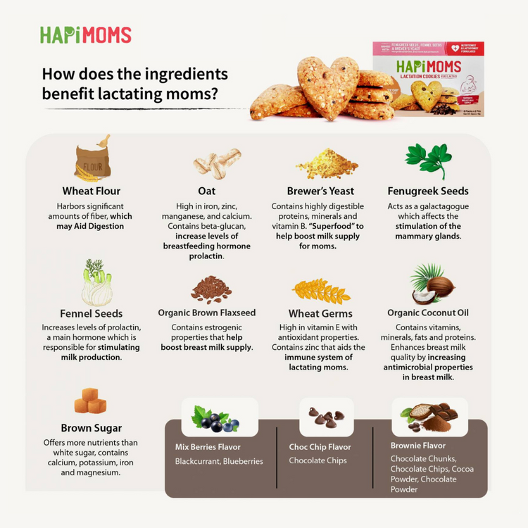 Hapimoms Lactation Cookies Milk Booster 192g (24g x 8)